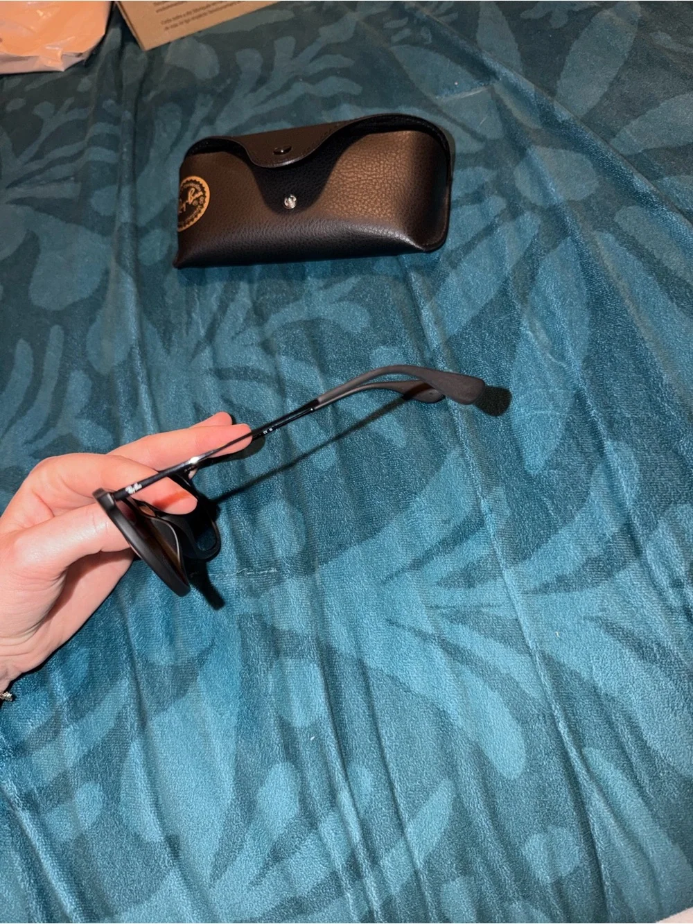 Ray-Ban Black Sunglasses with Black Case